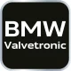 Zestaw blokad rozrządu do silników benzynowych BMW z systemem Valvetronic.